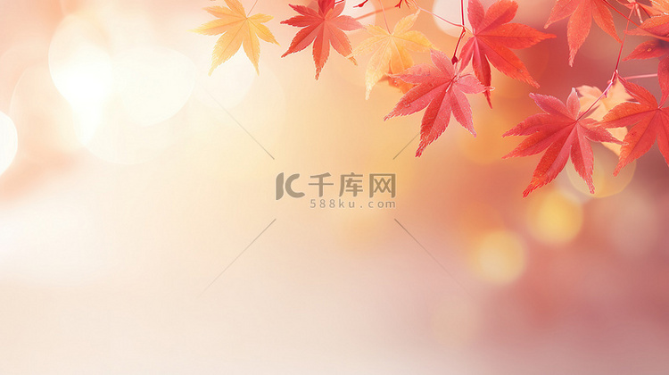 秋季红黄色枫叶秋色背景7