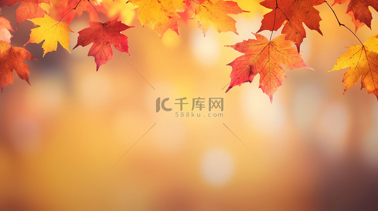 秋季红黄色枫叶秋色背景15