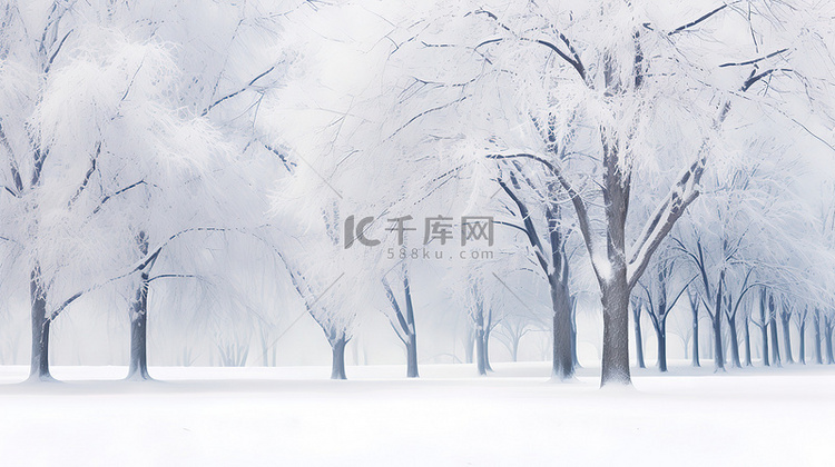 白雪覆盖的树木冬季景色14