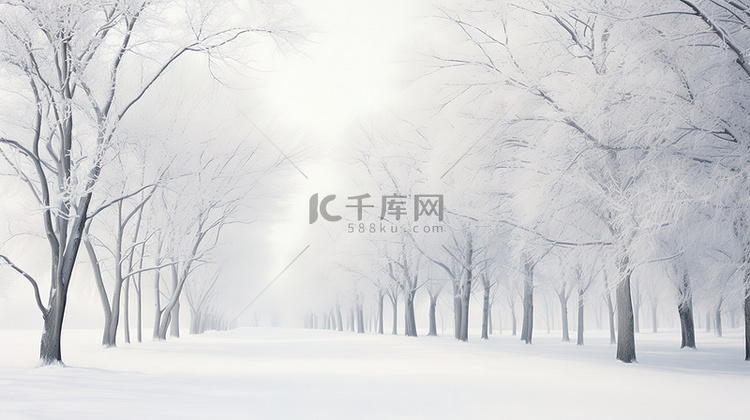 白雪覆盖的树木冬季景色11