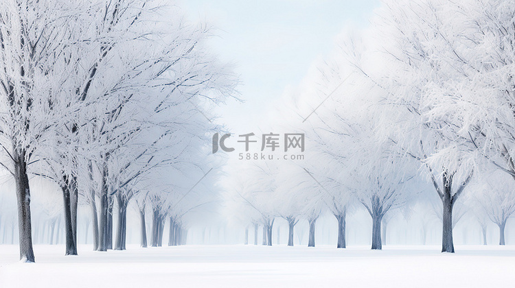 白雪覆盖的树木冬季景色19