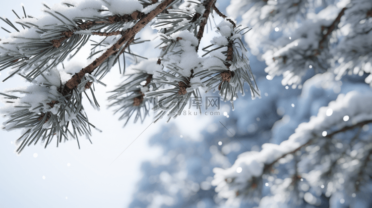 冬季松树雪景唯美背景2