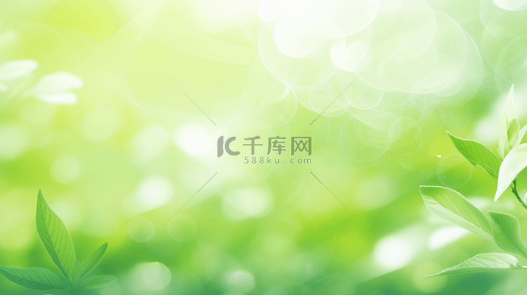清新春季绿色枝叶光影背景图片