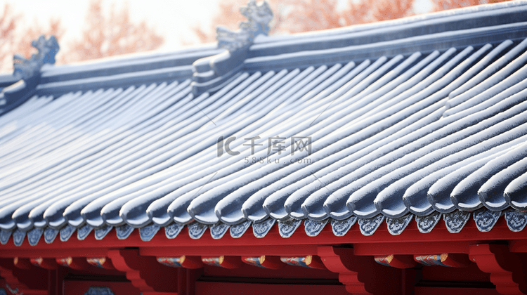 北京故宫冬季雪景特写镜头图片8