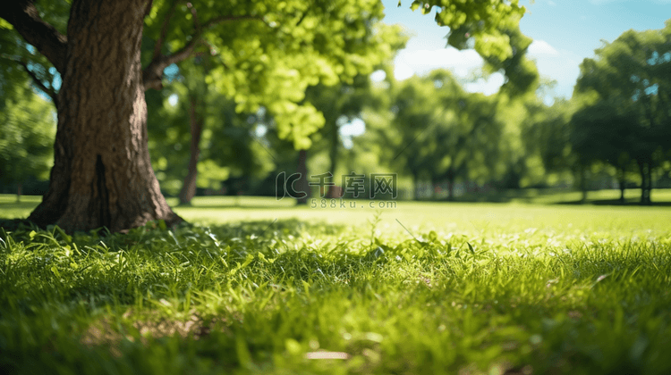 春天绿色草地公园户外场景背景