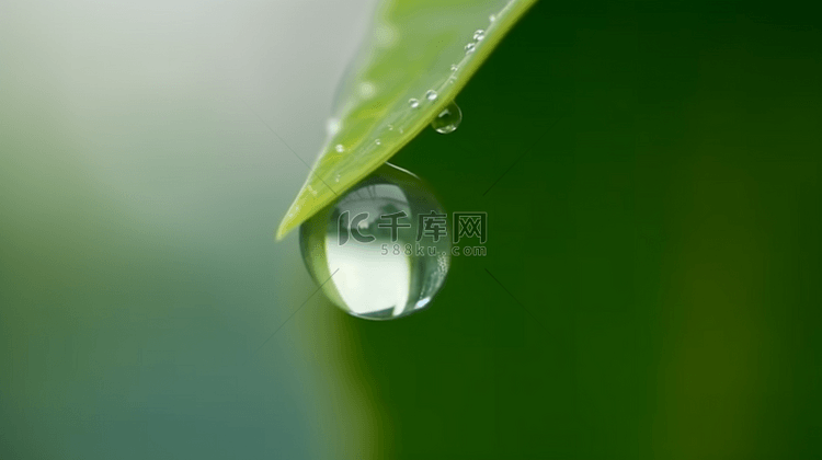 春天绿叶上的露珠水滴雨滴背景素