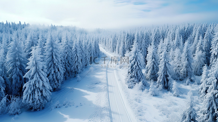 鸟瞰冬天的森林美丽景色15素材