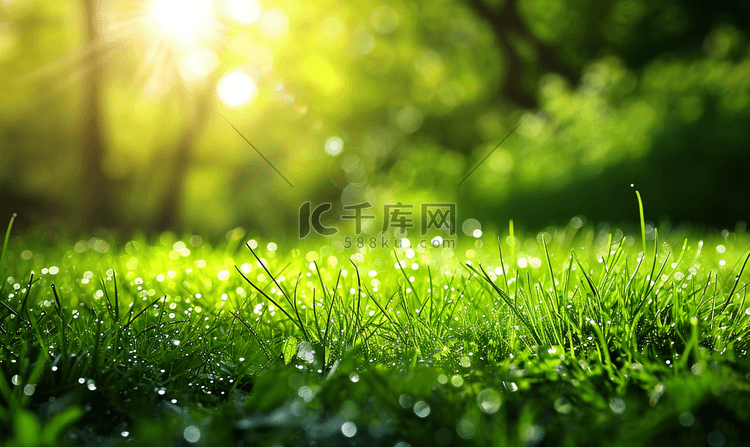 春天阳光复苏绿色草地小草草坪特