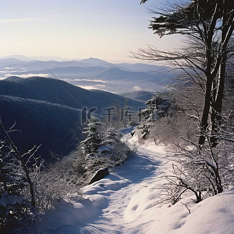 山腰场景，树木和山脉被雪覆盖