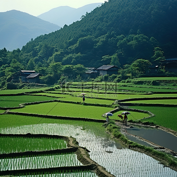 水谷山景