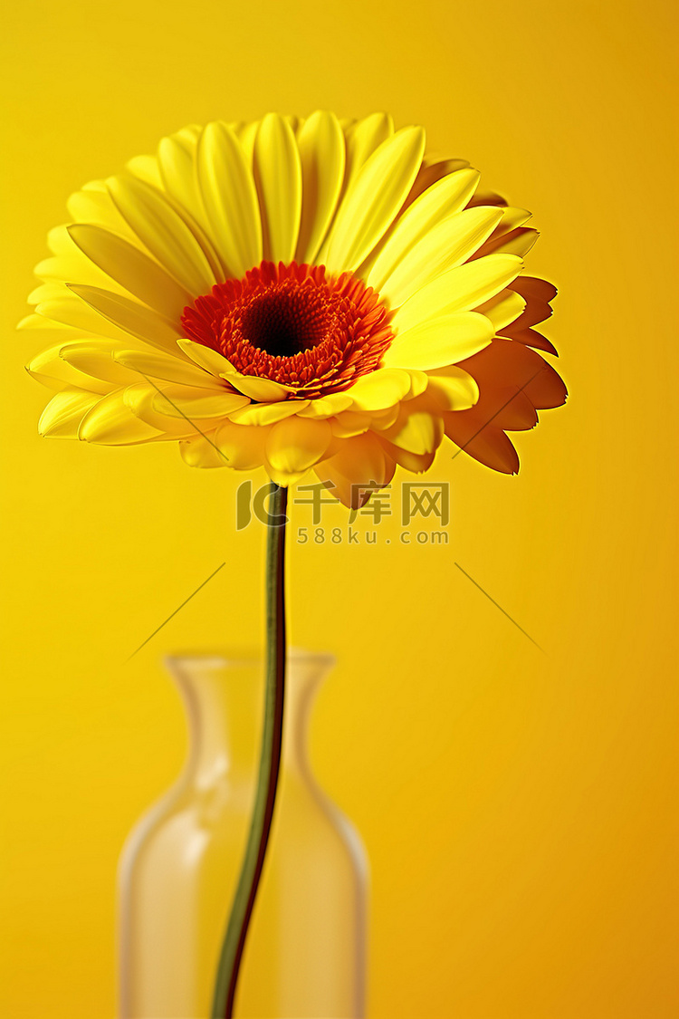 花瓶裡的黃色花