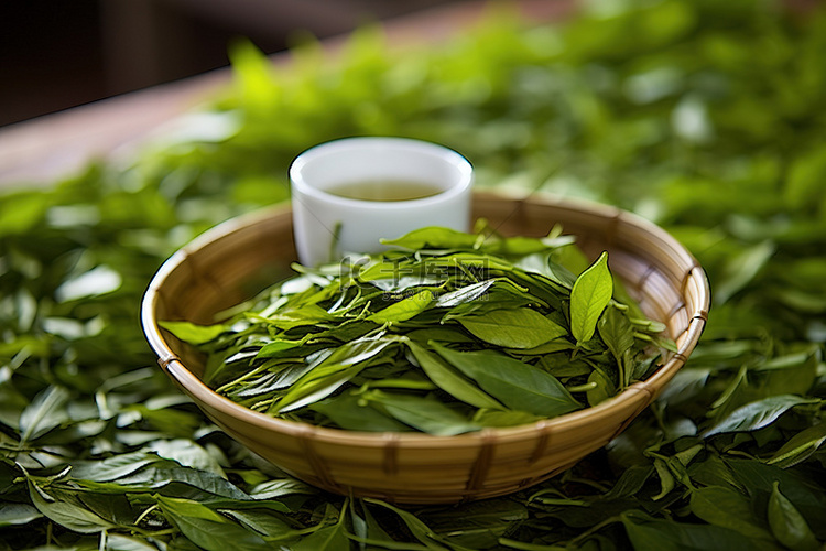冬天的中国绿茶