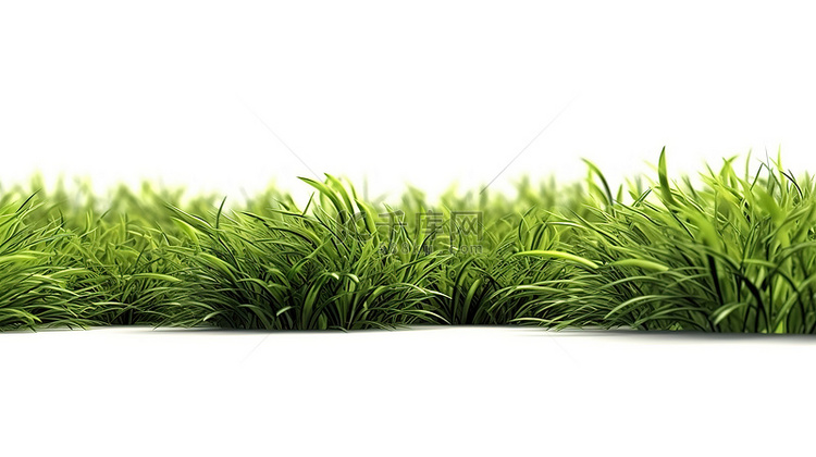 白色背景上的 3D 渲染绿草地