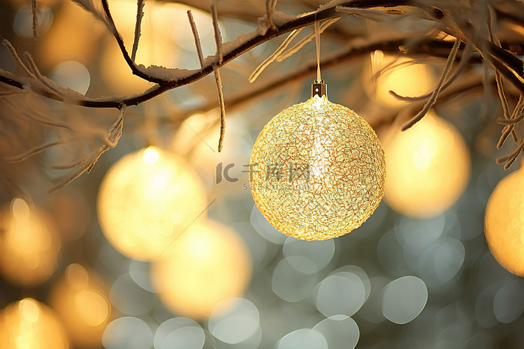 挂在树上的圣诞饰品，上面有灯