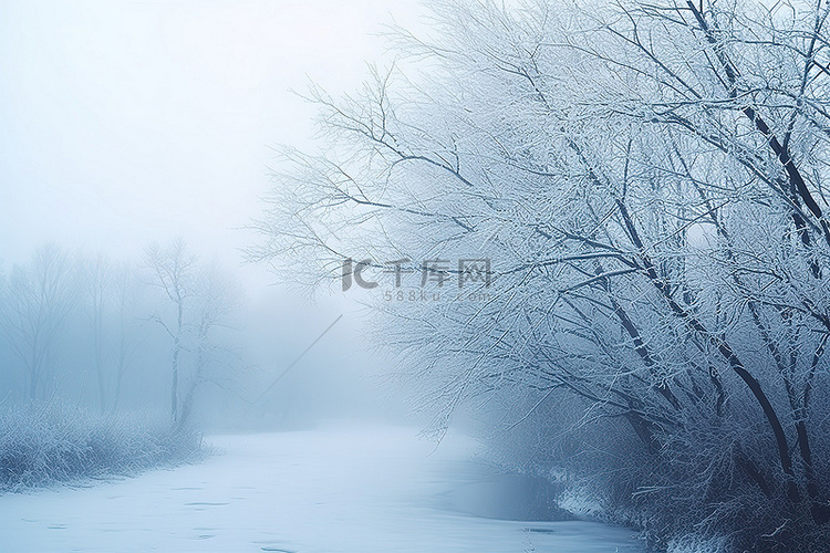 雪中​​的雾森林