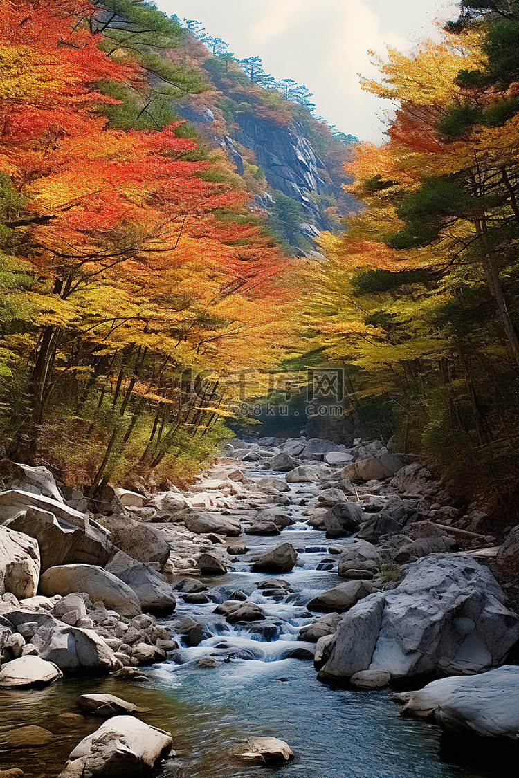 秋天的山间溪流与秋天的彩色树木
