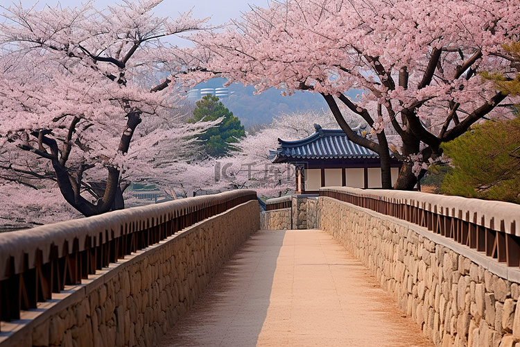 韩国文化复兴花园