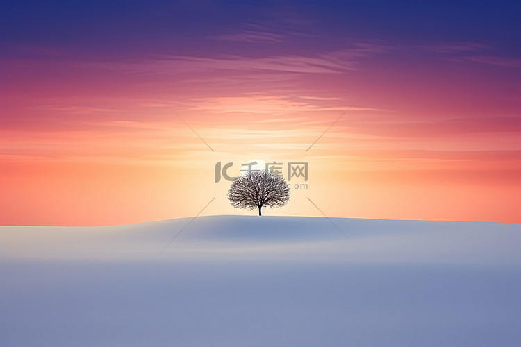 一棵孤独的树矗立在田野中央的雪
