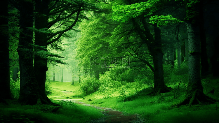 森林树林草地绿色背景