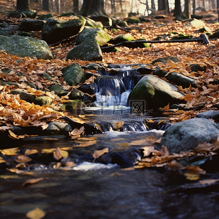 河水流过森林里的秋叶