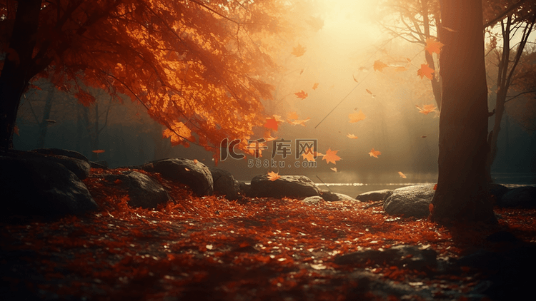 秋天森林枫叶落叶日光广告背景
