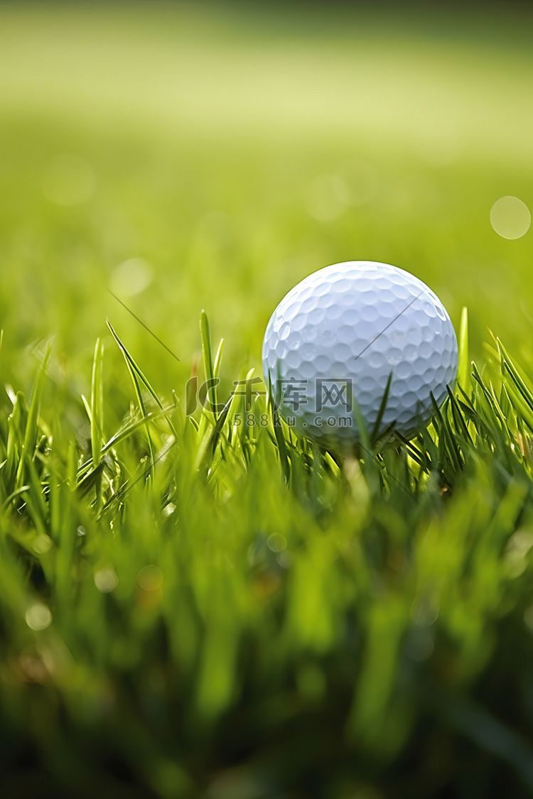 一个高尔夫球坐在草地上的发球台