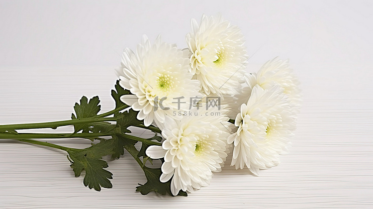 白菊花束 6 英寸