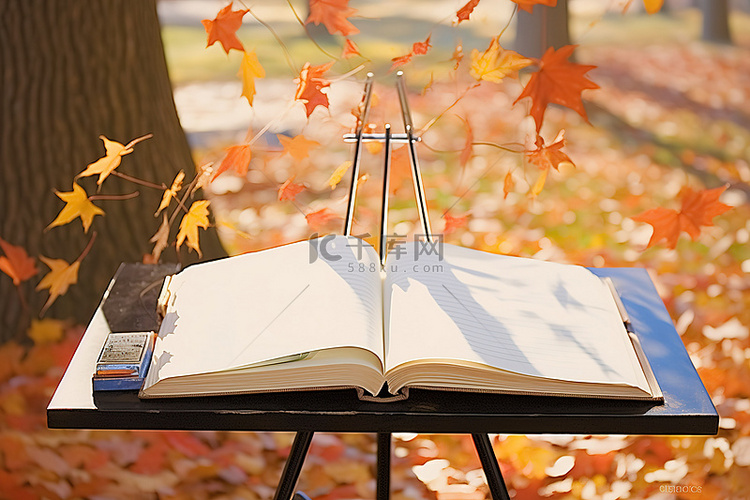 打开在秋叶旁边的木桌上的书
