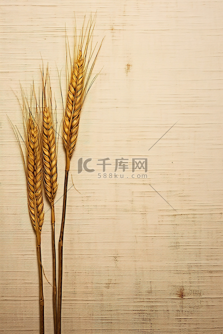 木质背景的两穗小麦