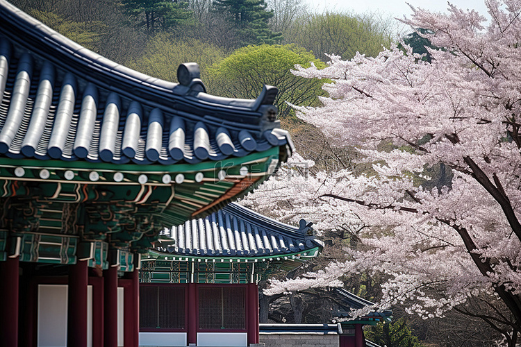 具有韩式屋顶的传统建筑