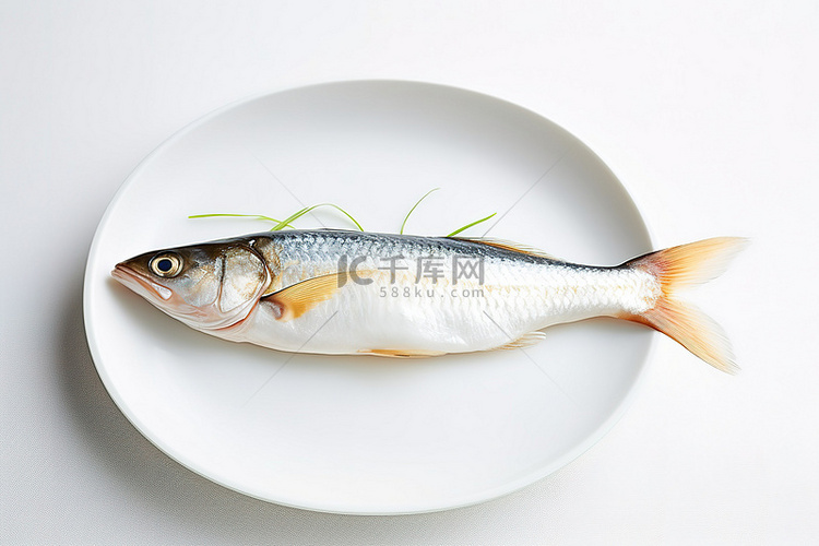 一条鱼被放在白色背景前的白盘上