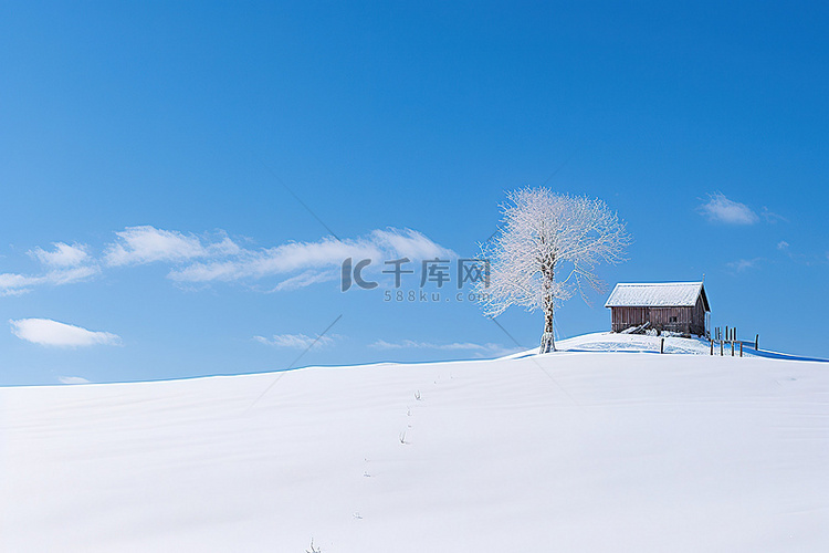 天空很蓝，地面被雪覆盖