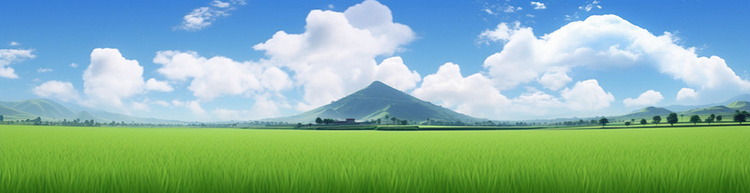 绿色稻田和蓝天白云的背景