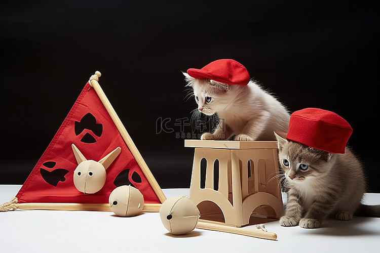两只小猫玩带帽子和海盗旗的猫玩