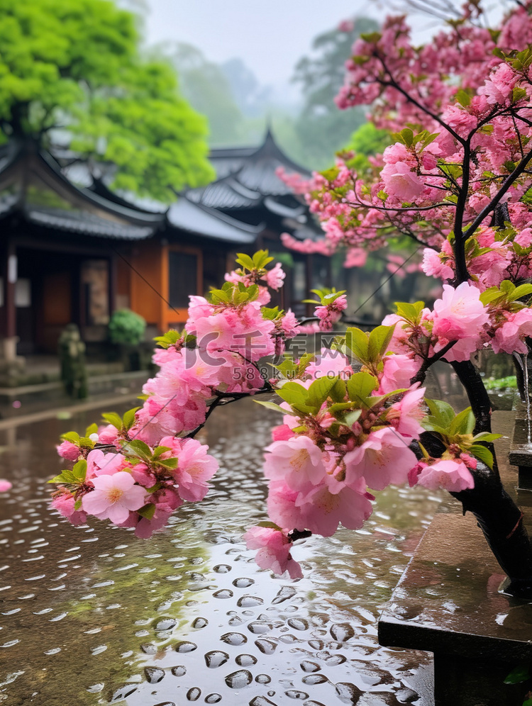 江南风光古镇的春天雨水背景素材