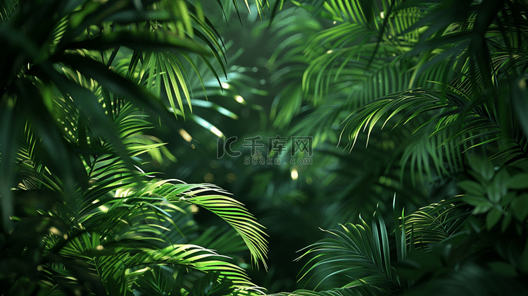 绿色森林里树叶叶片纹理的背景8