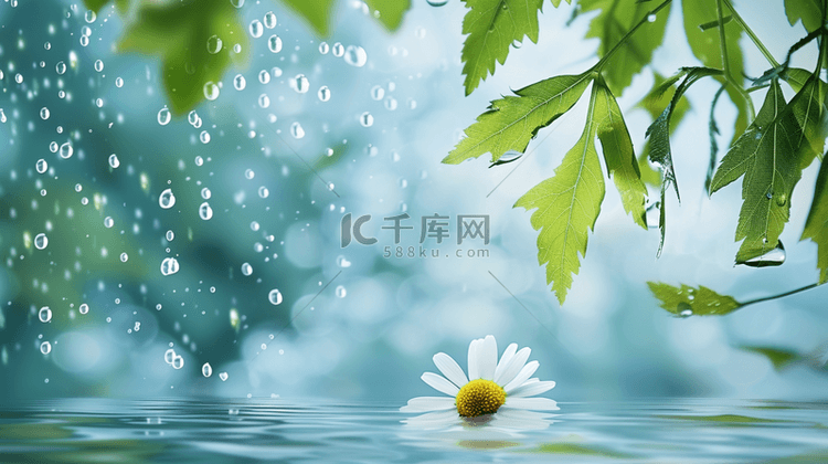 清新春天雨中的枝叶花朵背景