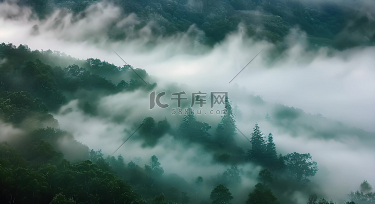 云雾缭绕的森林树林航拍自然风景