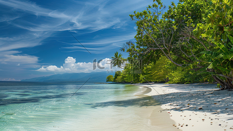 蓝天白云下椰林海边图片