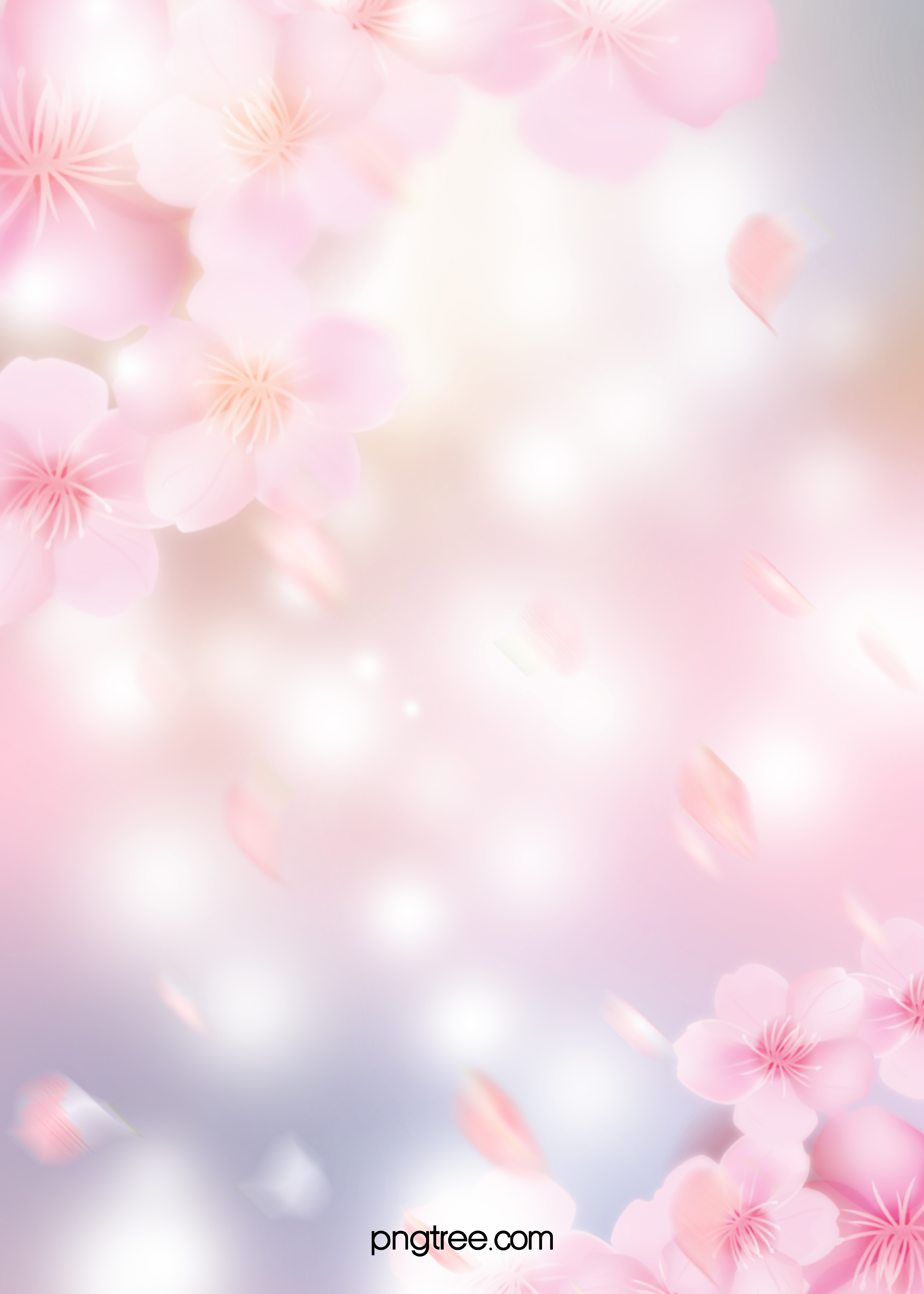 春天创意粉红色樱花背景图片