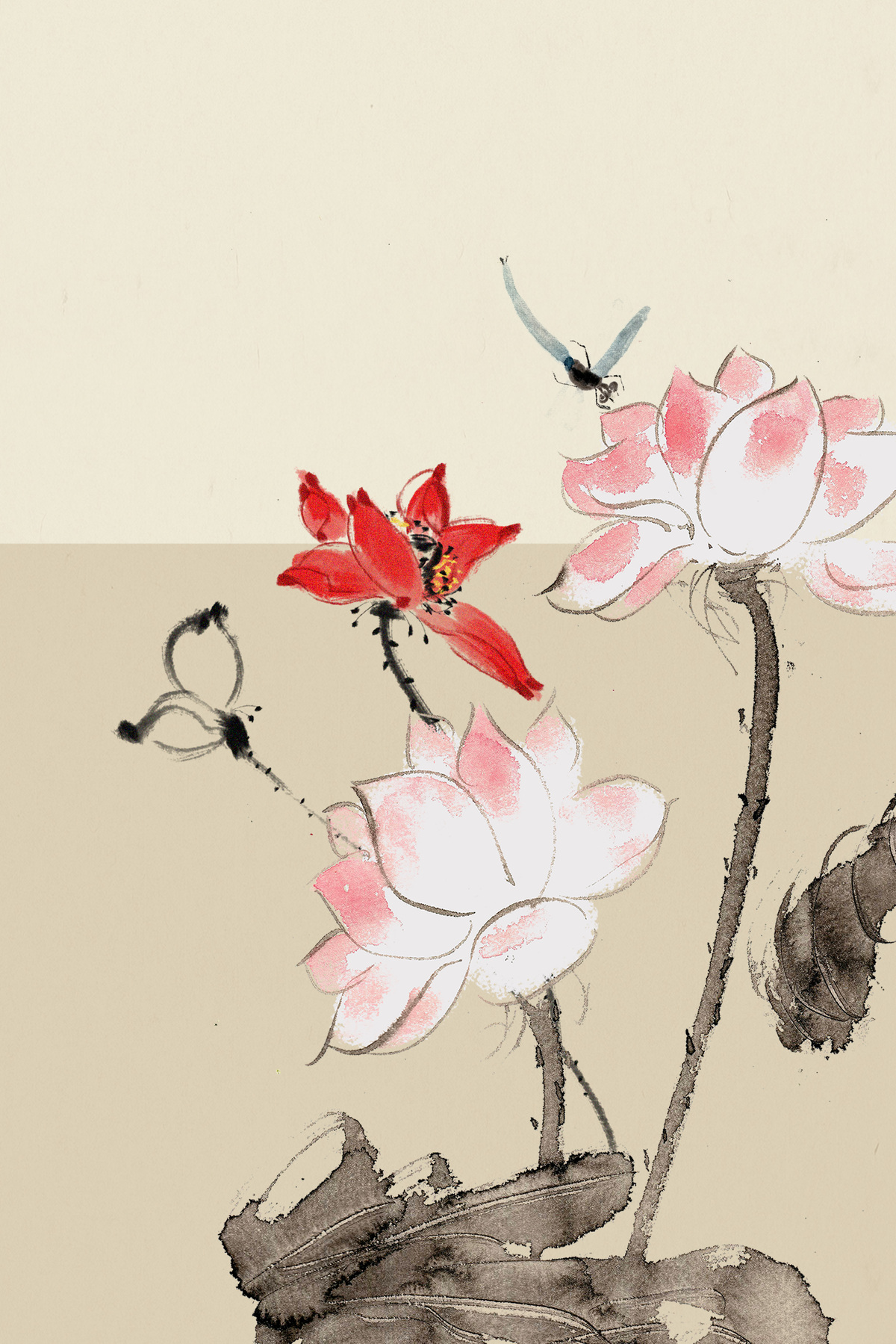 水墨中国风荷花蜻蜓新中式背景图片