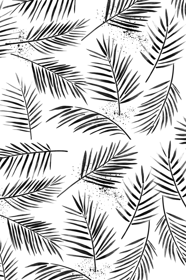 棕榈叶黑白平铺背景图片