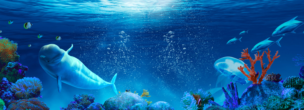 蓝色世界海洋日背景图片