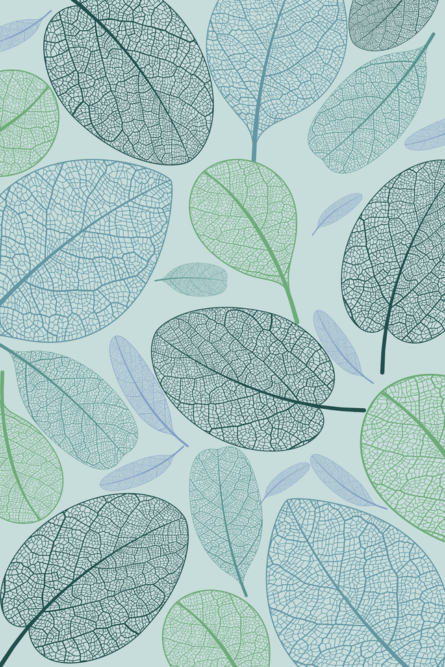 绿色树叶植物纹理平铺背景图片