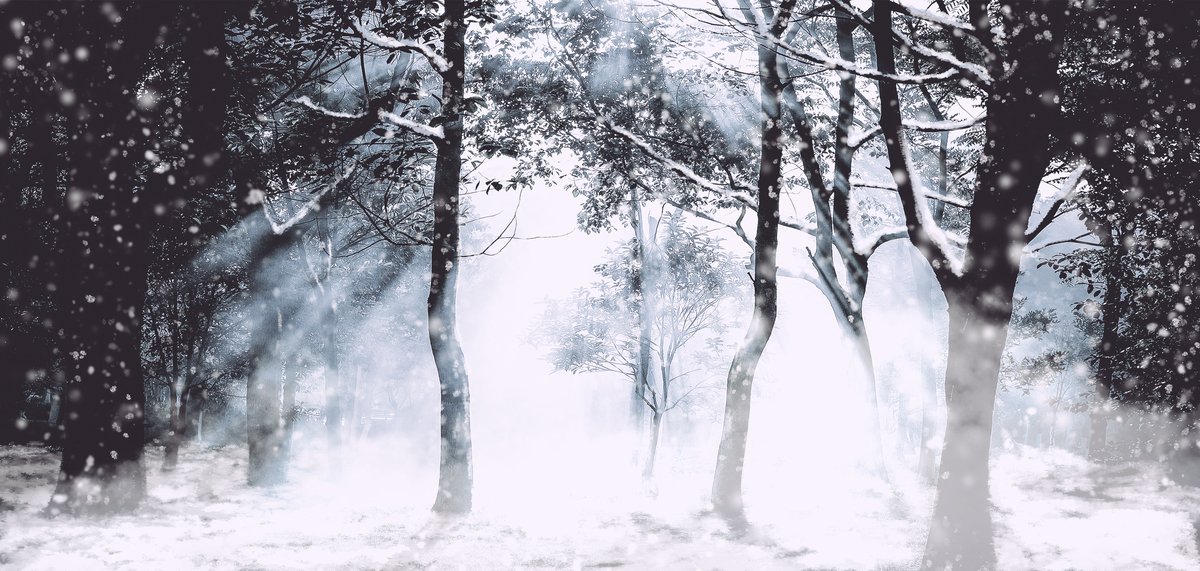 冬天树林雪黑白摄影水墨图片