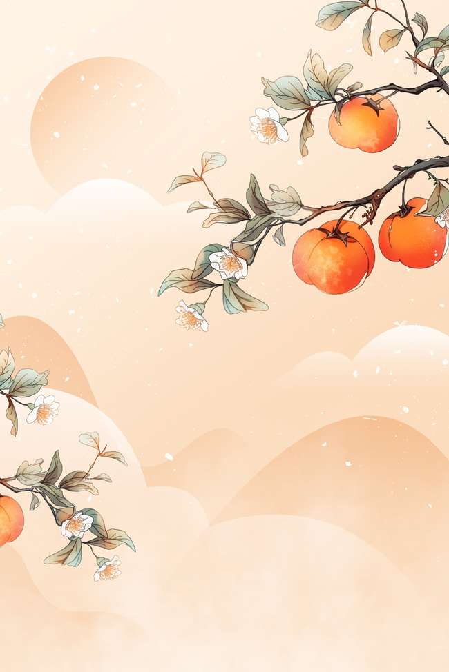 霜降柿子树橙色系简约古风广告背景图片