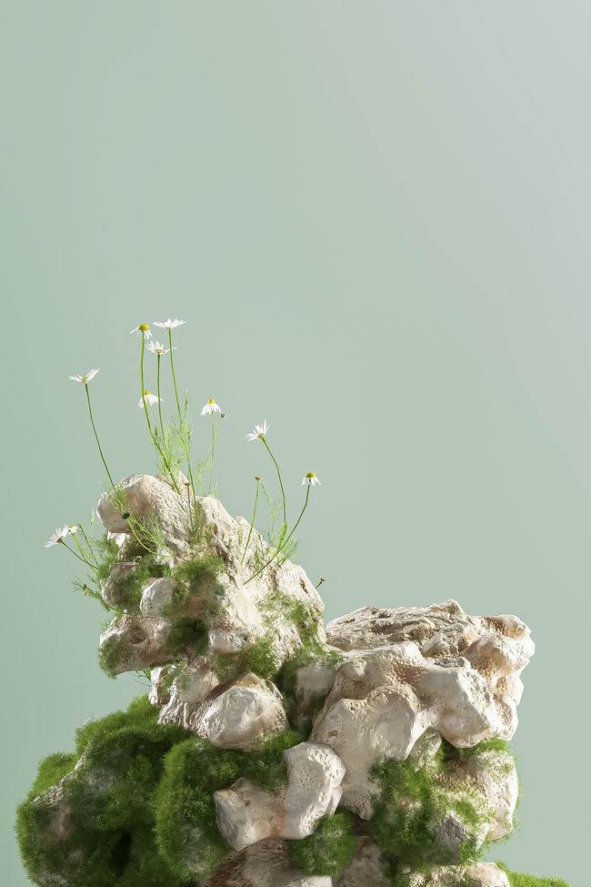 春季植物石头绿色3D立体背景仿摄影展台图片