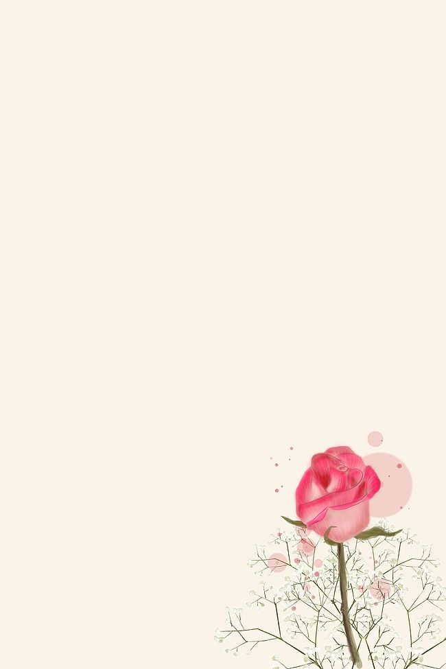 简单浪漫一支玫瑰H5背景素材图片