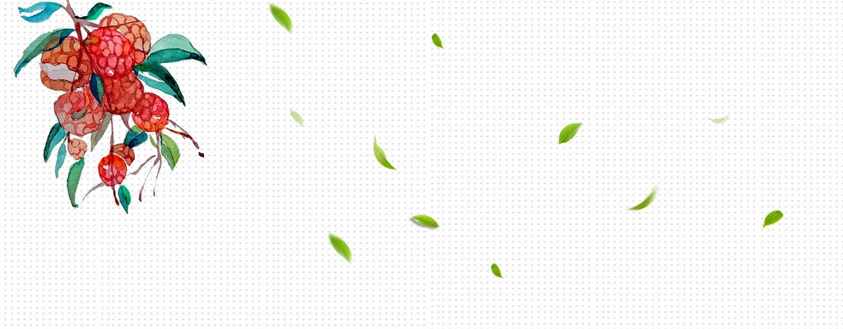 手绘文艺荔枝果子绿叶白点白色背景图片