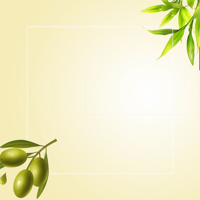 简约绿叶橄榄护肤品PSD分层主图背景素材图片